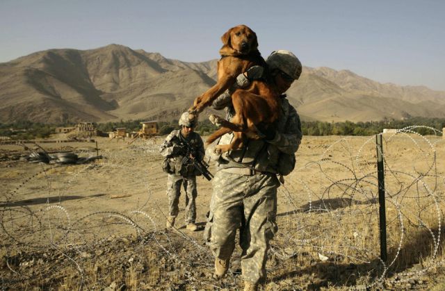 The Brave Men of the Armed Forces