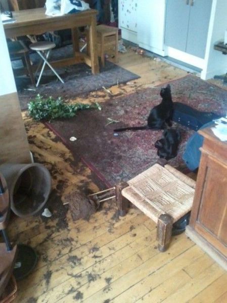 morning picdump 54 pics 21.html - 54 HD Photos | Premium Gallery 2014