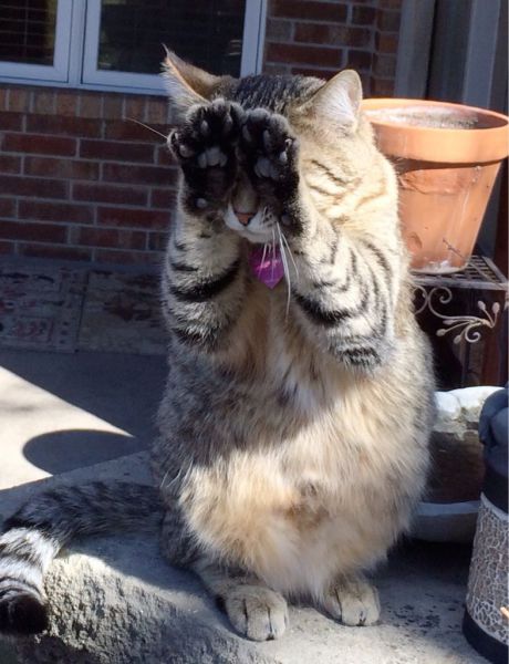 morning picdump 54 pics 21.html - 54 HD Photos | Premium Gallery 2014