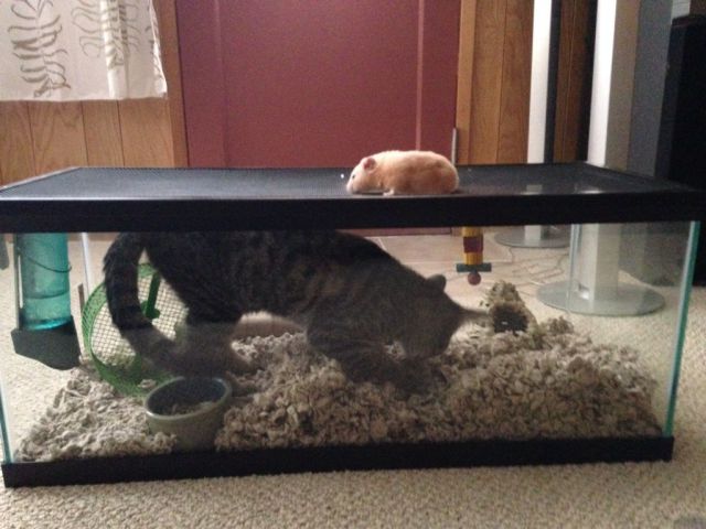 morning picdump 54 pics 21.html - 54 HD Photos | Premium Gallery 2014