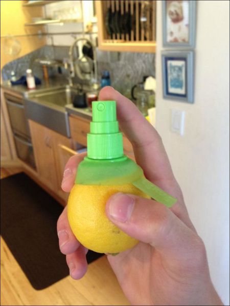 morning picdump 54 pics 21.html - 54 HD Photos | Premium Gallery 2014