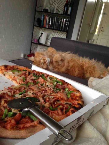 morning picdump 56 pics 14.html - 56 HD Photos | Premium Gallery 2014