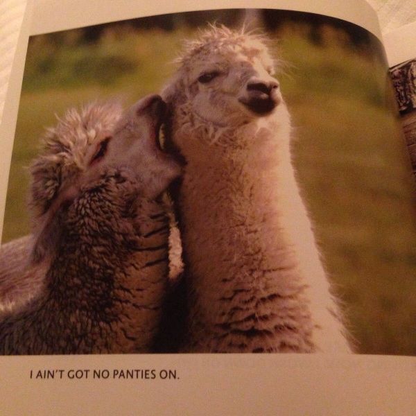 morning picdump 56 pics 14.html - 56 HD Photos | Premium Gallery 2014