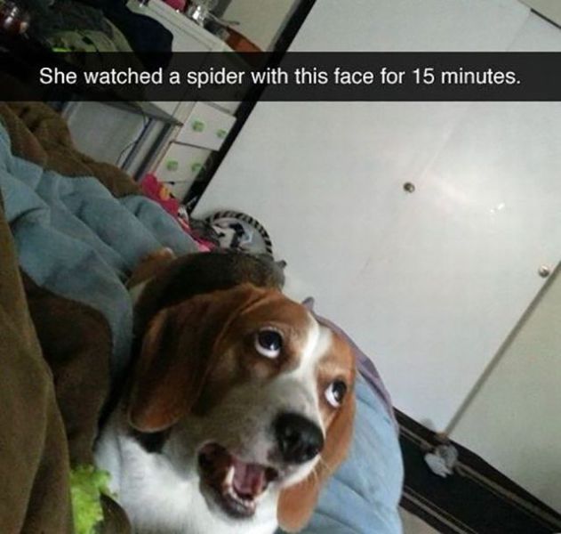 Morning Picdump