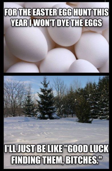 Morning Picdump