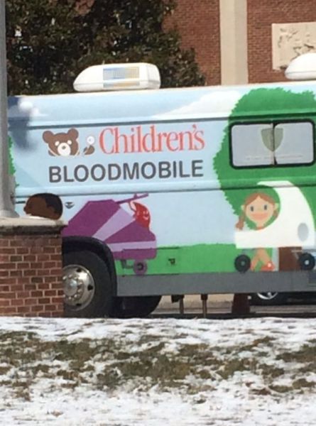Morning Picdump