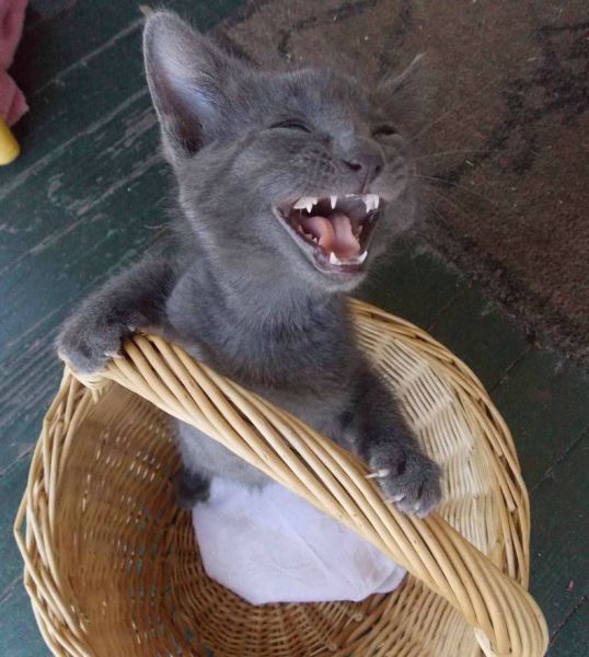 Morning Picdump
