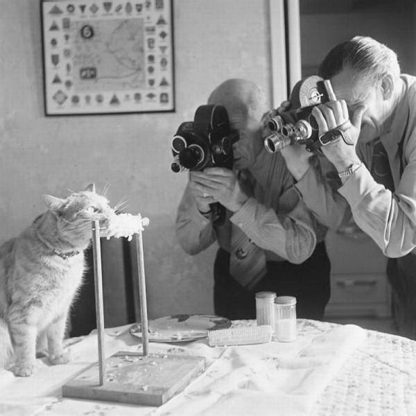 morning picdump 53 pics 5.html - 53 HD Photos | Premium Gallery 2014