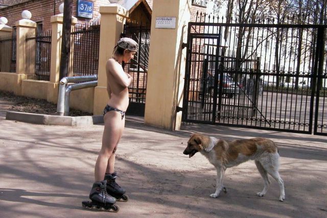 grownup corner 48 pics 9 gifs 19.html - 48 HD GIF | Premium Gallery 2014