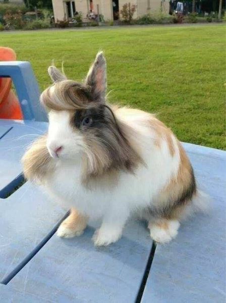 Morning Picdump