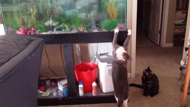 Morning Picdump