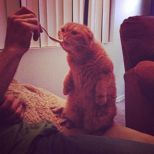 Morning Picdump