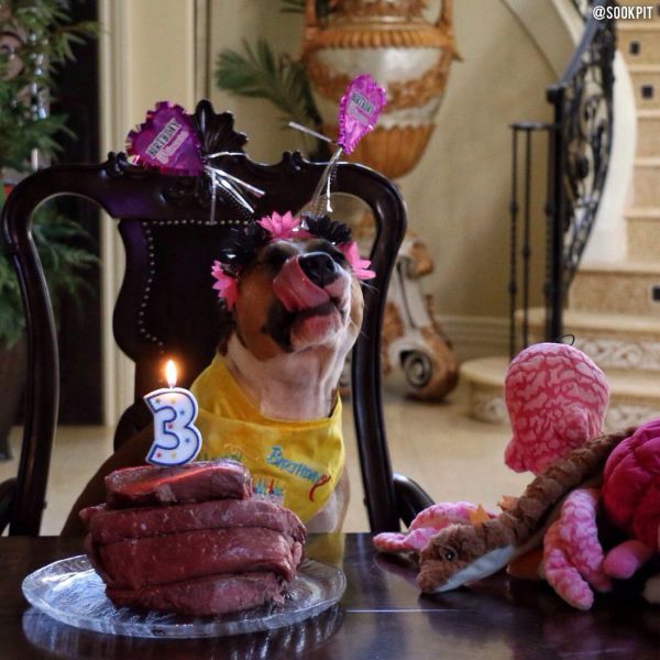 morning picdump 54 pics 24.html - 54 HD Photos | Premium Gallery 2014