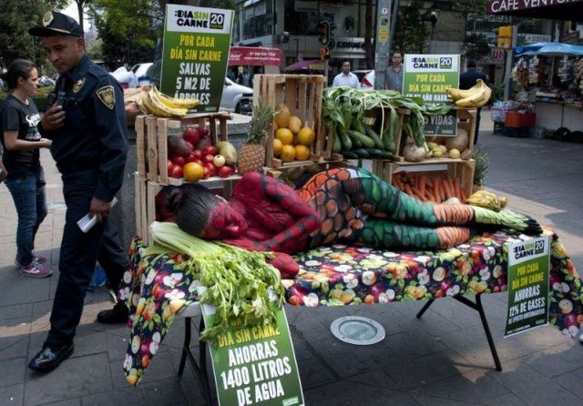 morning picdump 55 pics 4.html - 55 HD Photos | Premium Gallery 2014