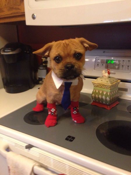 morning picdump 55 pics 4.html - 55 HD Photos | Premium Gallery 2014