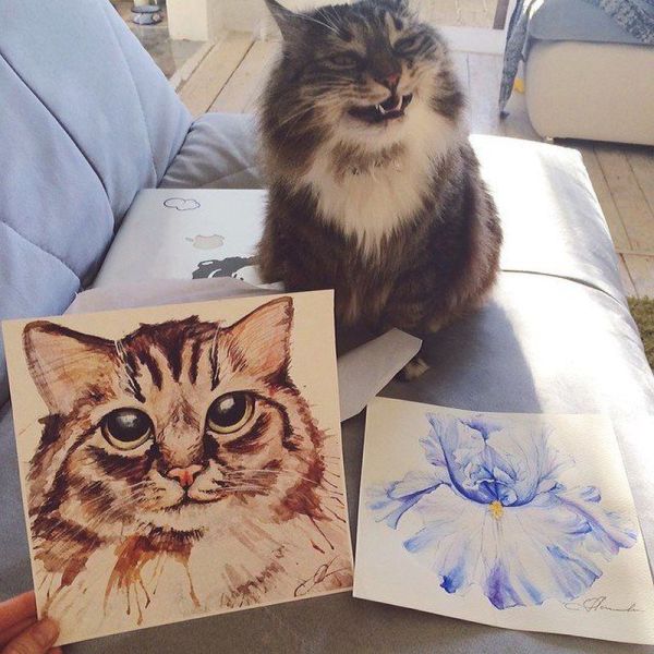 morning picdump 55 pics 4.html - 55 HD Photos | Premium Gallery 2014