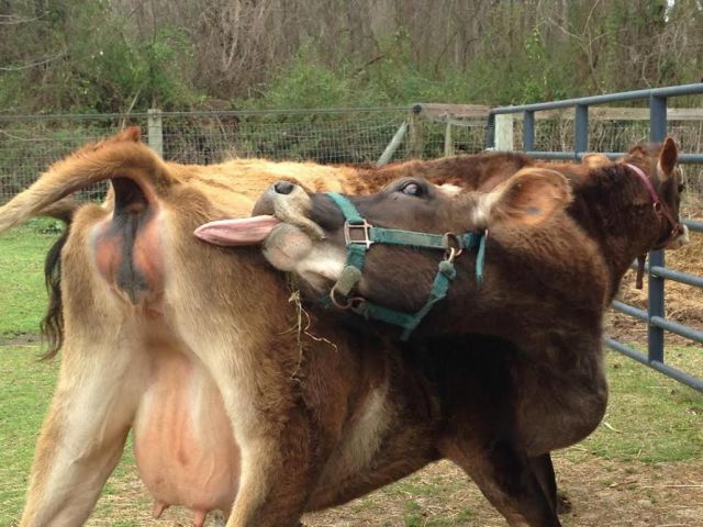 morning picdump 55 pics 4.html - 55 HD Photos | Premium Gallery 2014