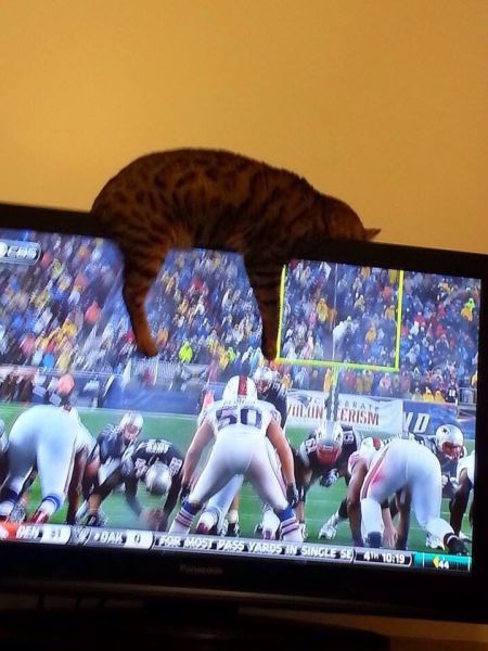 morning picdump 55 pics 4.html - 55 HD Photos | Premium Gallery 2014