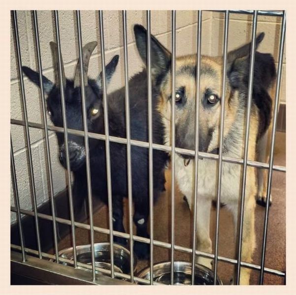 morning picdump 55 pics 4.html - 55 HD Photos | Premium Gallery 2014