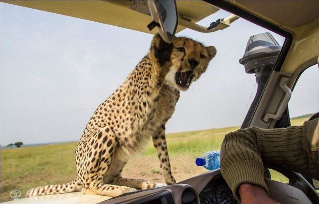 morning picdump 55 pics 4.html - 55 HD Photos | Premium Gallery 2014