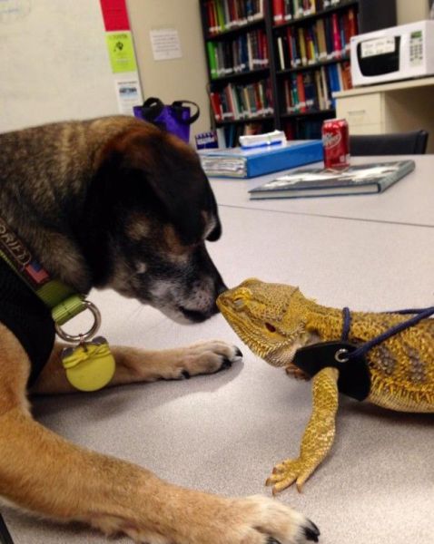 morning picdump 54 pics 17.html - 54 HD Photos | Premium Gallery 2014