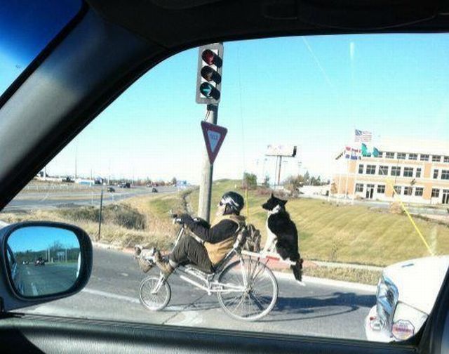 morning picdump 54 pics 17.html - 54 HD Photos | Premium Gallery 2014