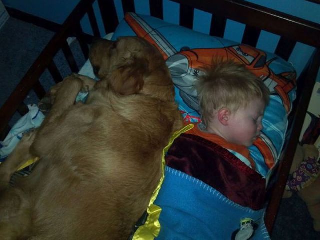 morning picdump 54 pics 17.html - 54 HD Photos | Premium Gallery 2014