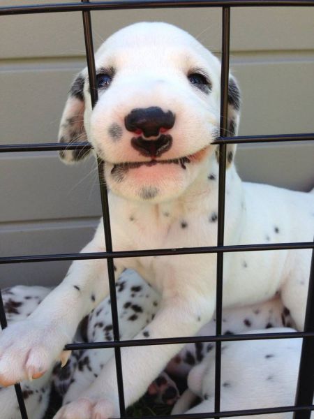 morning picdump 54 pics 17.html - 54 HD Photos | Premium Gallery 2014