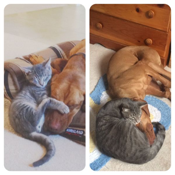 morning picdump 54 pics 17.html - 54 HD Photos | Premium Gallery 2014