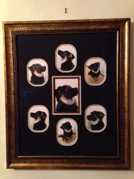 morning picdump 53 pics 7.html - 53 HD Photos | Premium Gallery 2014