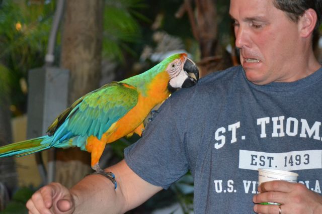 morning picdump 58 pics 3.html - 58 HD Photos | Premium Gallery 2014