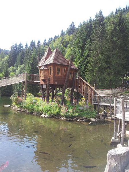 morning picdump 58 pics 3.html - 58 HD Photos | Premium Gallery 2014