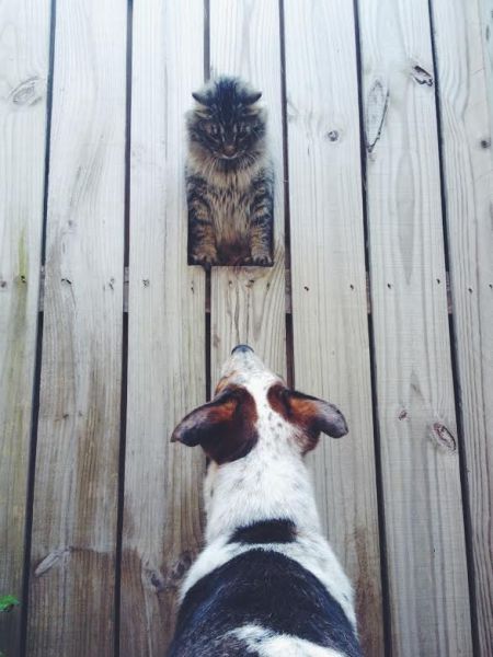 morning picdump 58 pics 3.html - 58 HD Photos | Premium Gallery 2014