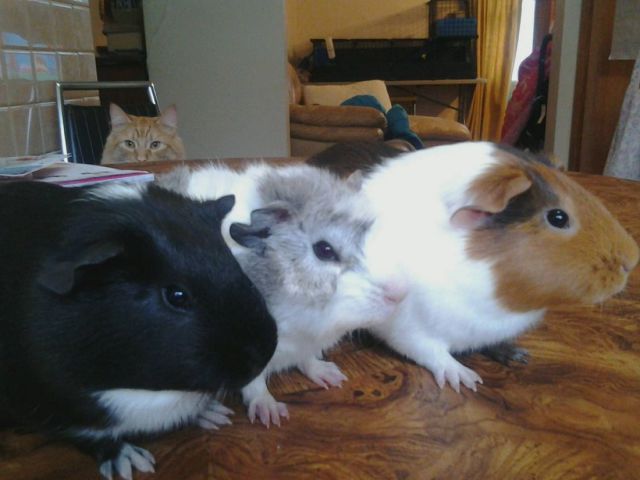 morning picdump 51 pics 7.html - 51 HD Photos | Premium Gallery 2014