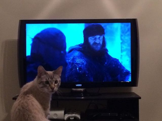 morning picdump 51 pics 7.html - 51 HD Photos | Premium Gallery 2014