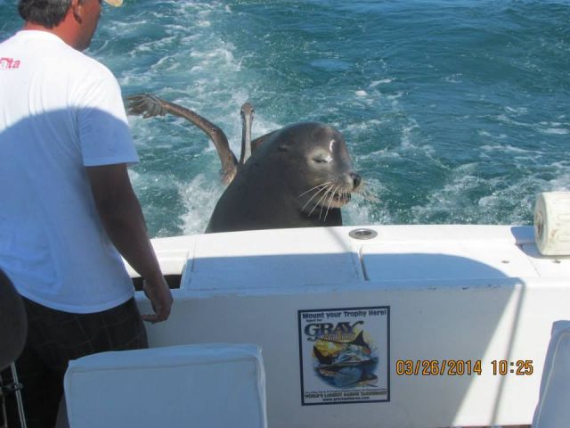 morning picdump 51 pics 7.html - 51 HD Photos | Premium Gallery 2014