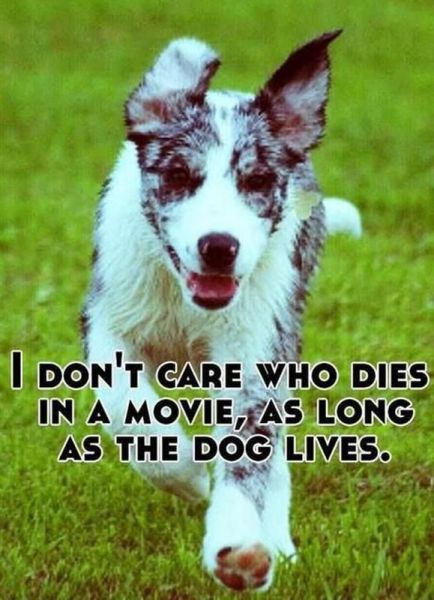 morning picdump 51 pics 7.html - 51 HD Photos | Premium Gallery 2014