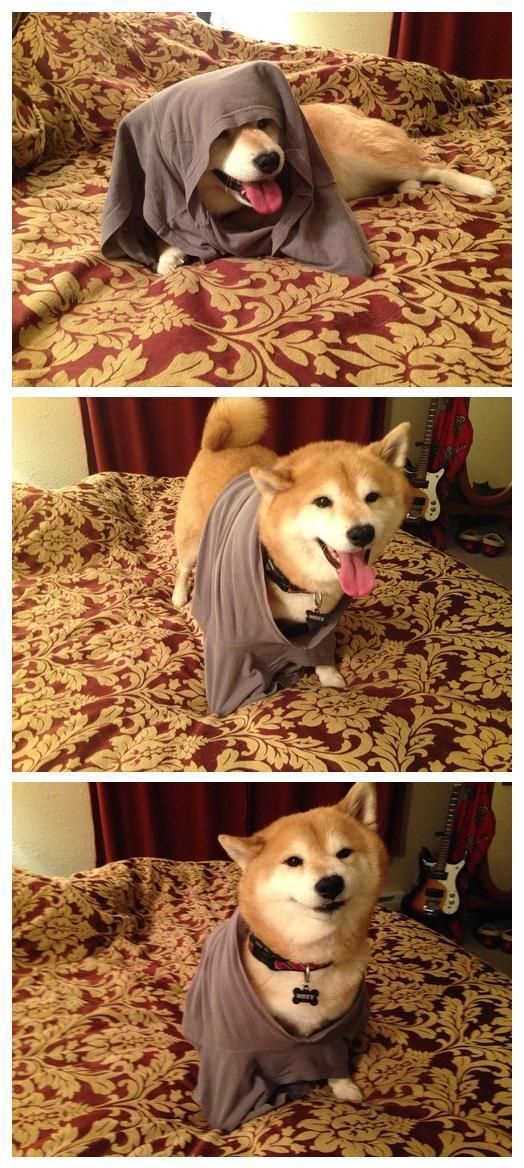 morning picdump 51 pics 7.html - 51 HD Photos | Premium Gallery 2014