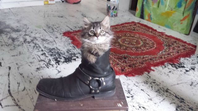 morning picdump 50 pics 12.html - 50 HD Photos | Premium Gallery 2014