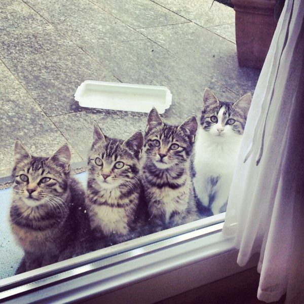 morning picdump 50 pics 12.html - 50 HD Photos | Premium Gallery 2014