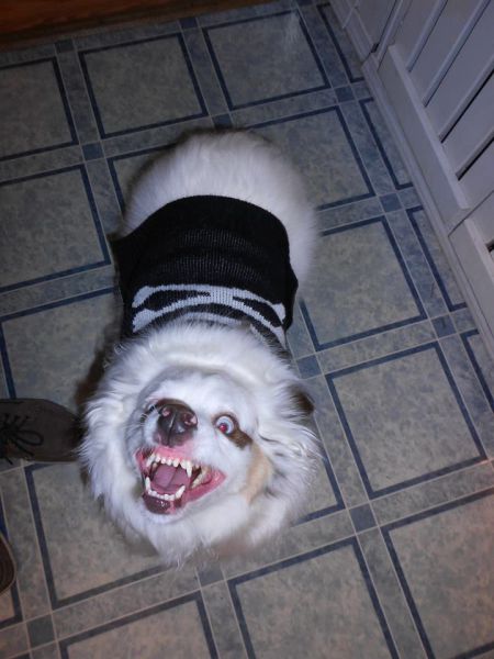 morning picdump 50 pics 12.html - 50 HD Photos | Premium Gallery 2014