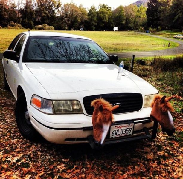 morning picdump 50 pics 12.html - 50 HD Photos | Premium Gallery 2014