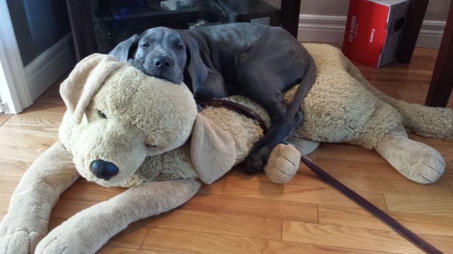 morning picdump 58 pics 24.html - 58 HD Photos | Premium Gallery 2014