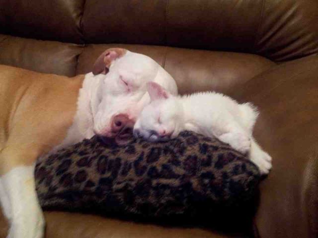 morning picdump 58 pics 24.html - 58 HD Photos | Premium Gallery 2014