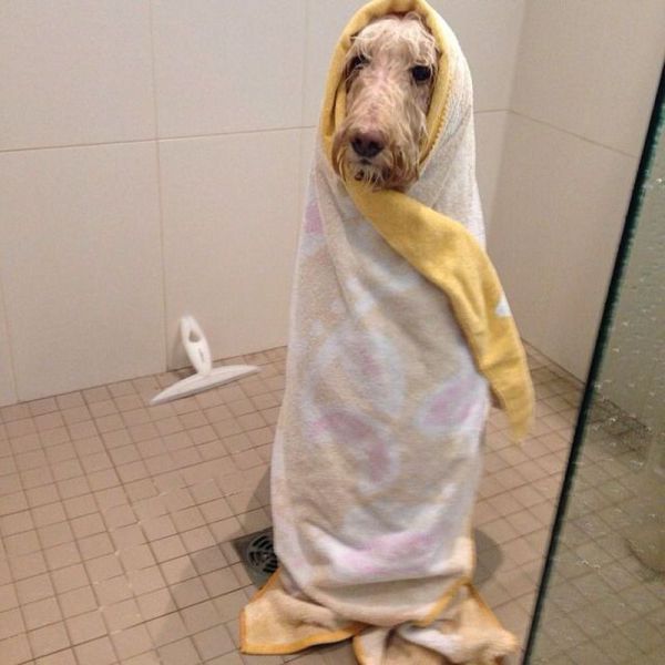 morning picdump 58 pics 24.html - 58 HD Photos | Premium Gallery 2014