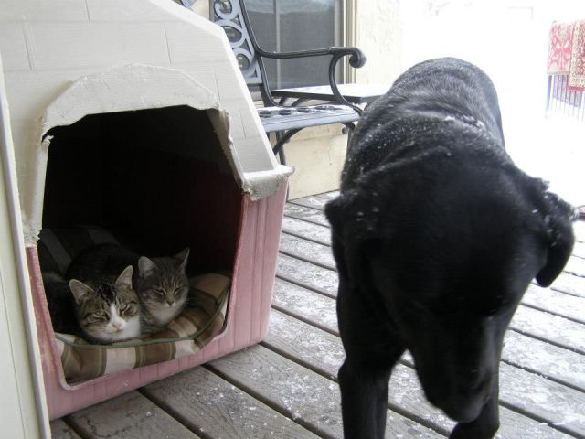 morning picdump 58 pics 24.html - 58 HD Photos | Premium Gallery 2014