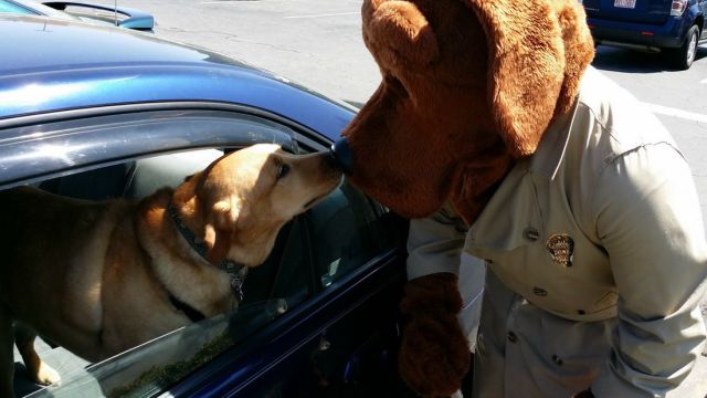 morning picdump 58 pics 24.html - 58 HD Photos | Premium Gallery 2014