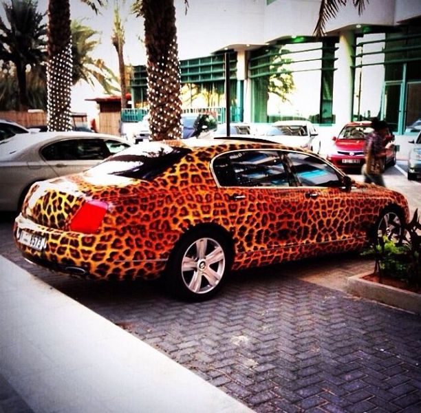 morning picdump 58 pics 24.html - 58 HD Photos | Premium Gallery 2014