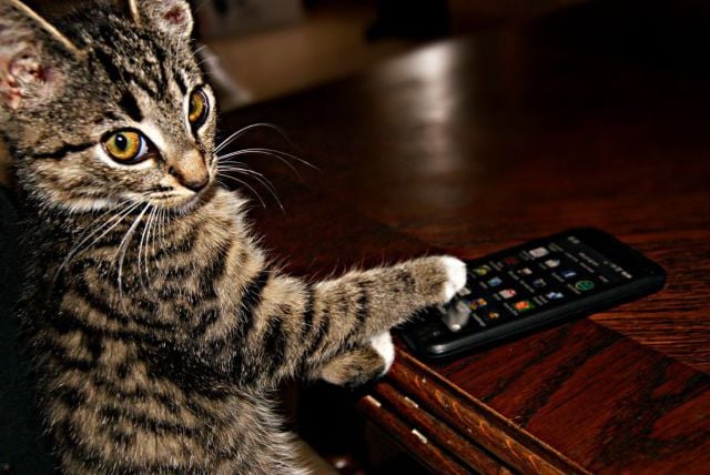 morning picdump 58 pics 24.html - 58 HD Photos | Premium Gallery 2014