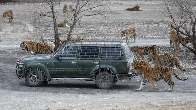 morning picdump 58 pics 24.html - 58 HD Photos | Premium Gallery 2014